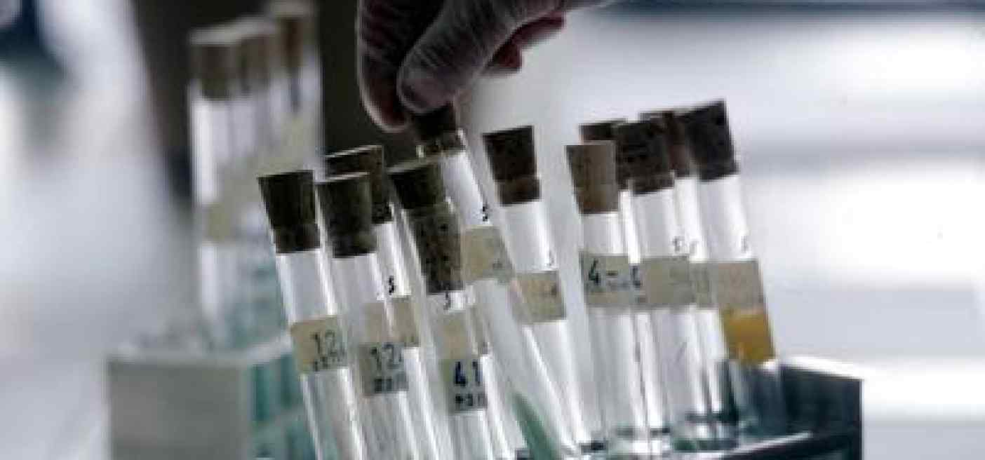 Nisticò (Aifa): "Lavoriamo per migliorare accesso a terapie oncologiche"