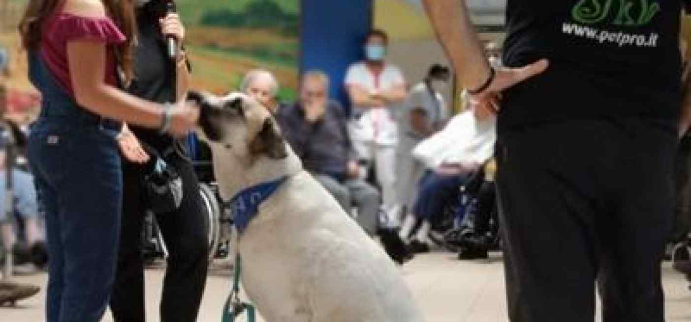Non solo Pet Therapy, gli amici a 4 zampe entrano nelle Rsa