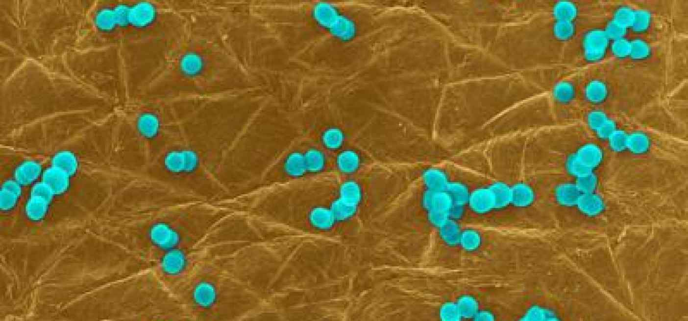 Da 'influenza intestinale' strascichi fino a 5 anni, lo studio