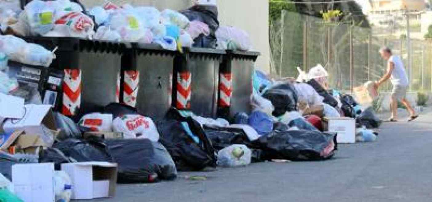 Caldo e sporcizia paradiso per le blatte, padrone delle città nelle notti d'estate