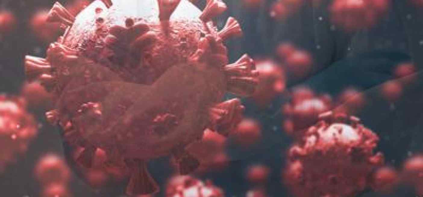 Covid, variante Pirola in Italia: isolata a Brescia
