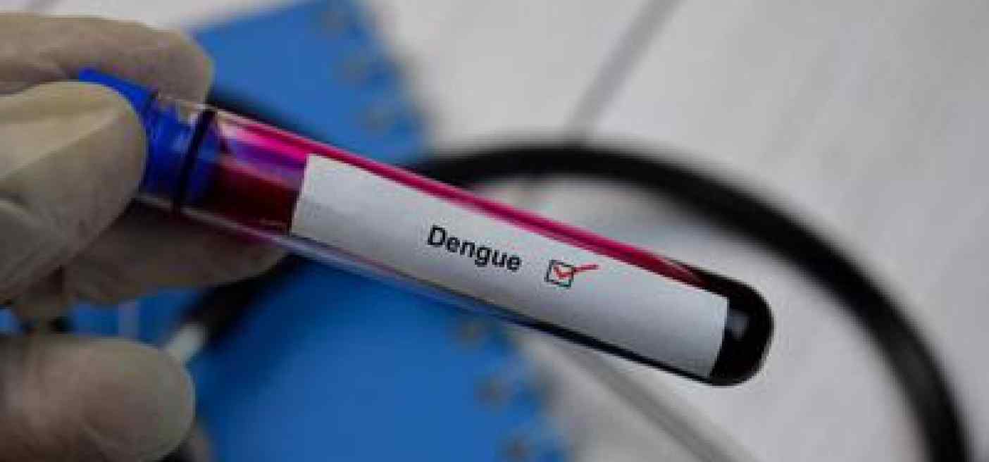 Dengue, nuova circolare a Regioni, allerta per ridurre rischio di trasmissione autoctona