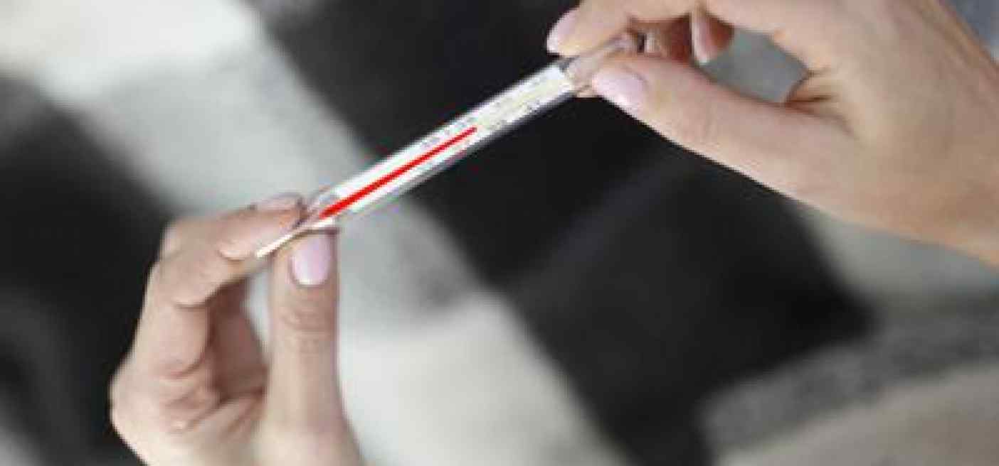 Influenza, la carica dei 262 virus 'cugini', cosa sono e come gestirli
