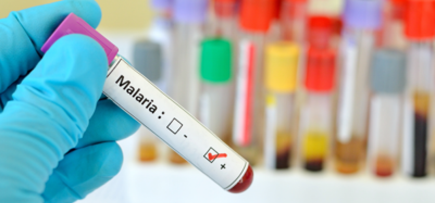 Sanità, Oms: "Capo Verde malaria-free, traguardo storico"