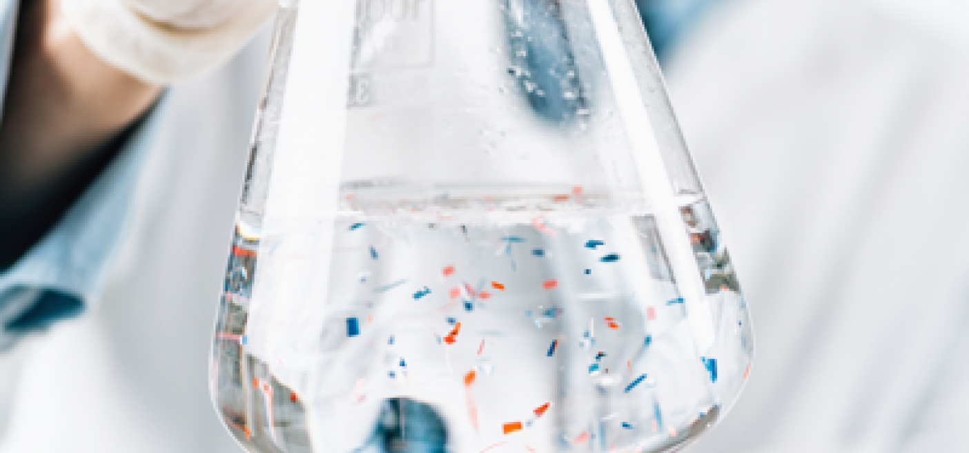 Ambiente, le microplastiche si respirano, trovate nell'alito dei delfini