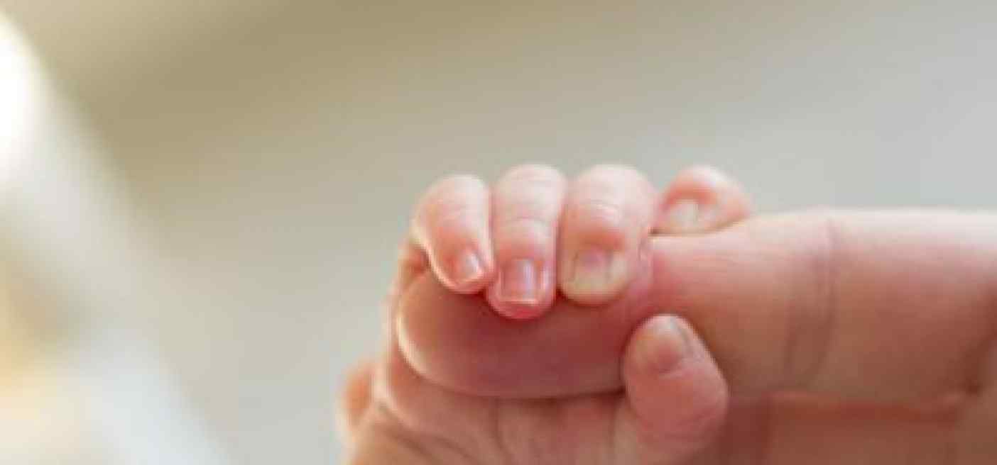 Impacchi e vapori, allarme Meyer: "Troppi bambini ustionati"
