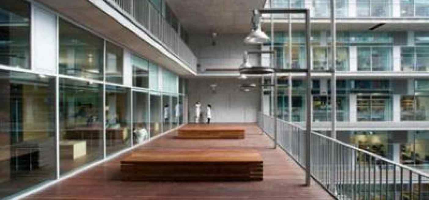 Italia punta a ospedali green, 'curare' tra arte, luce e immersi nel paesaggio