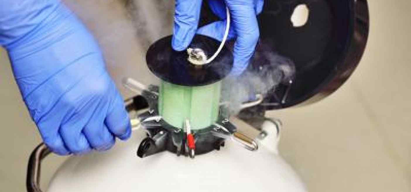 Fecondazione: cresce il 'social freezing', +50% congelamento ovociti in 1 anno