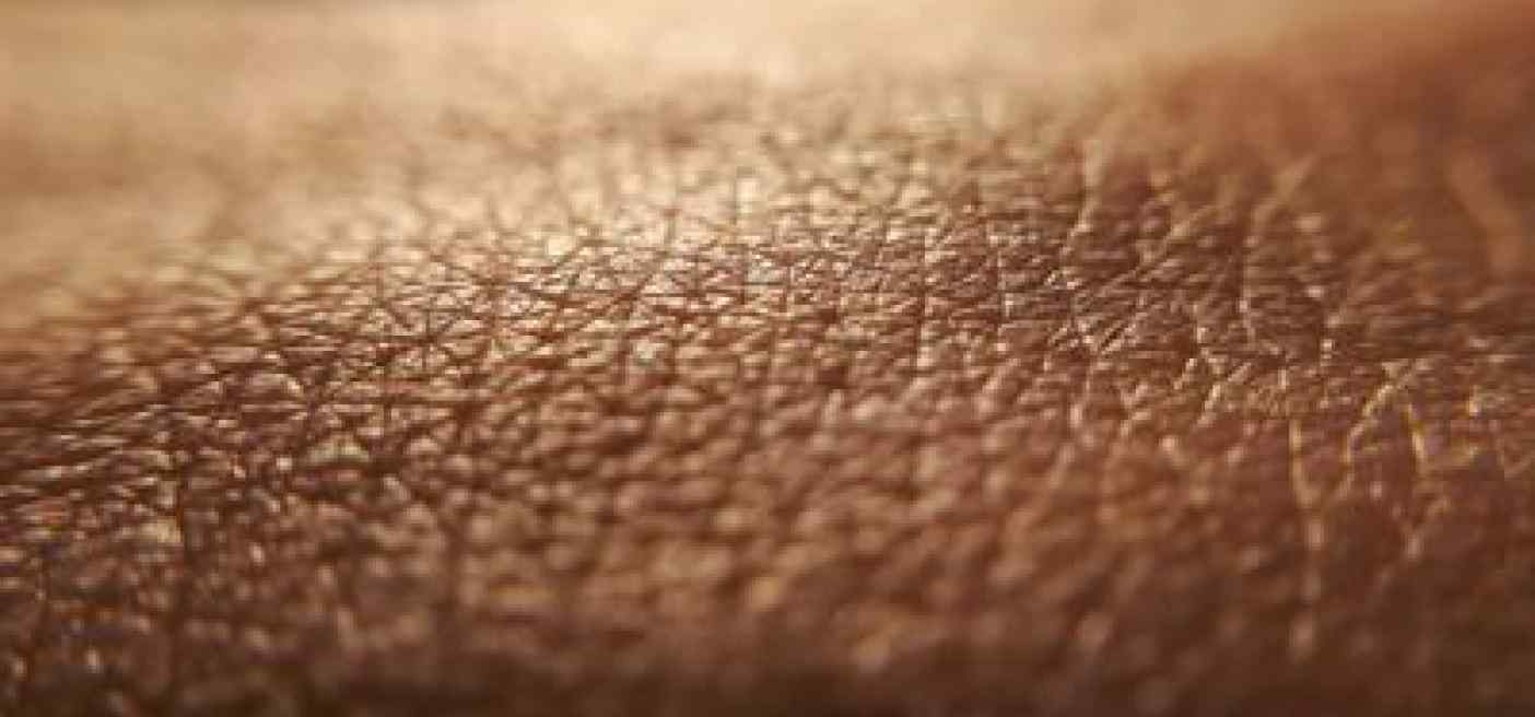 Medici ambiente, 'aumenta età biologica organismo e la pelle è più a rischio'