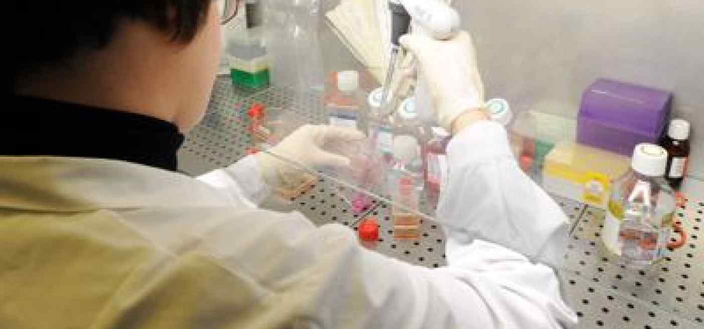 Università, in Europa metà laureati sono donne ma solo 33% si dedica a ricerca