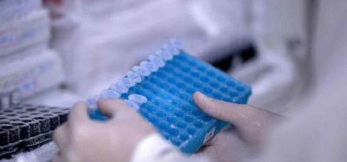 Ricerca, Rizzuto: "In Italia studi su Rna e terapie geniche per cure personalizzate"