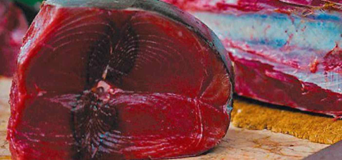 Tonno rosso
