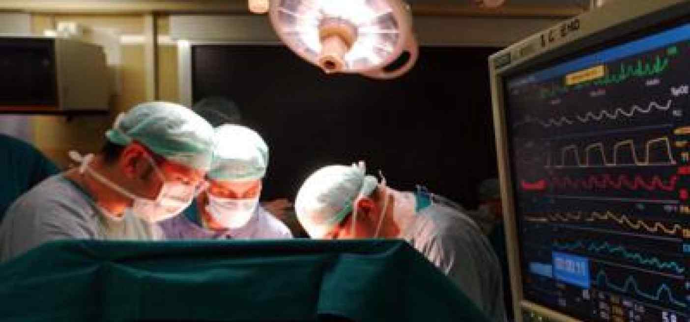 Reni di maiale impiantati in uomo, mix farmaci noti può evitare rigetto